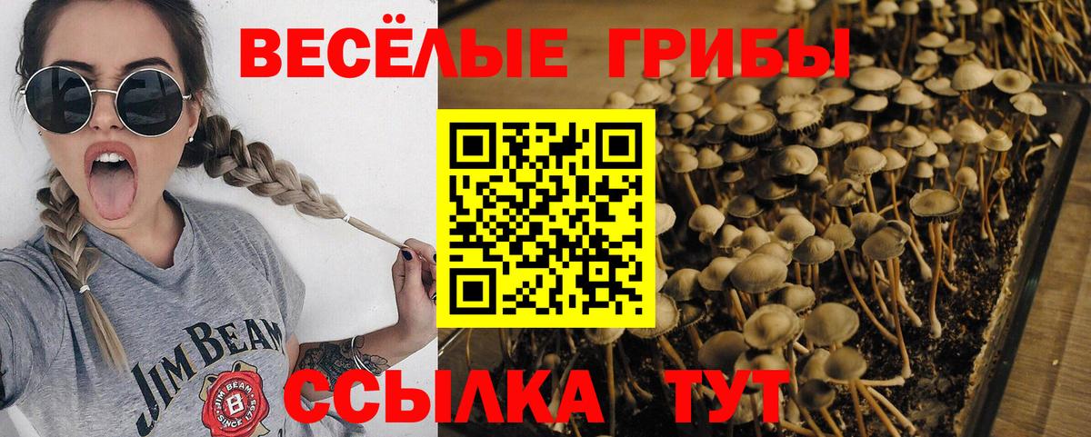 Псилоцибиновые грибы ЛСД  Вход с VPN  Таганрог 